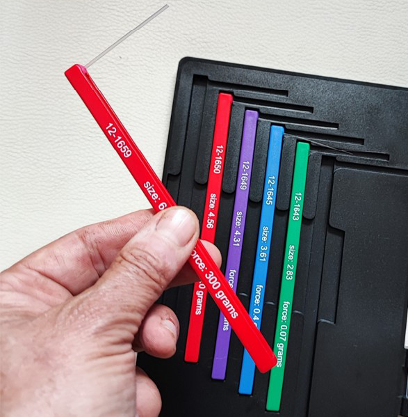 Semmes Weinstein Monofilamente (MF)